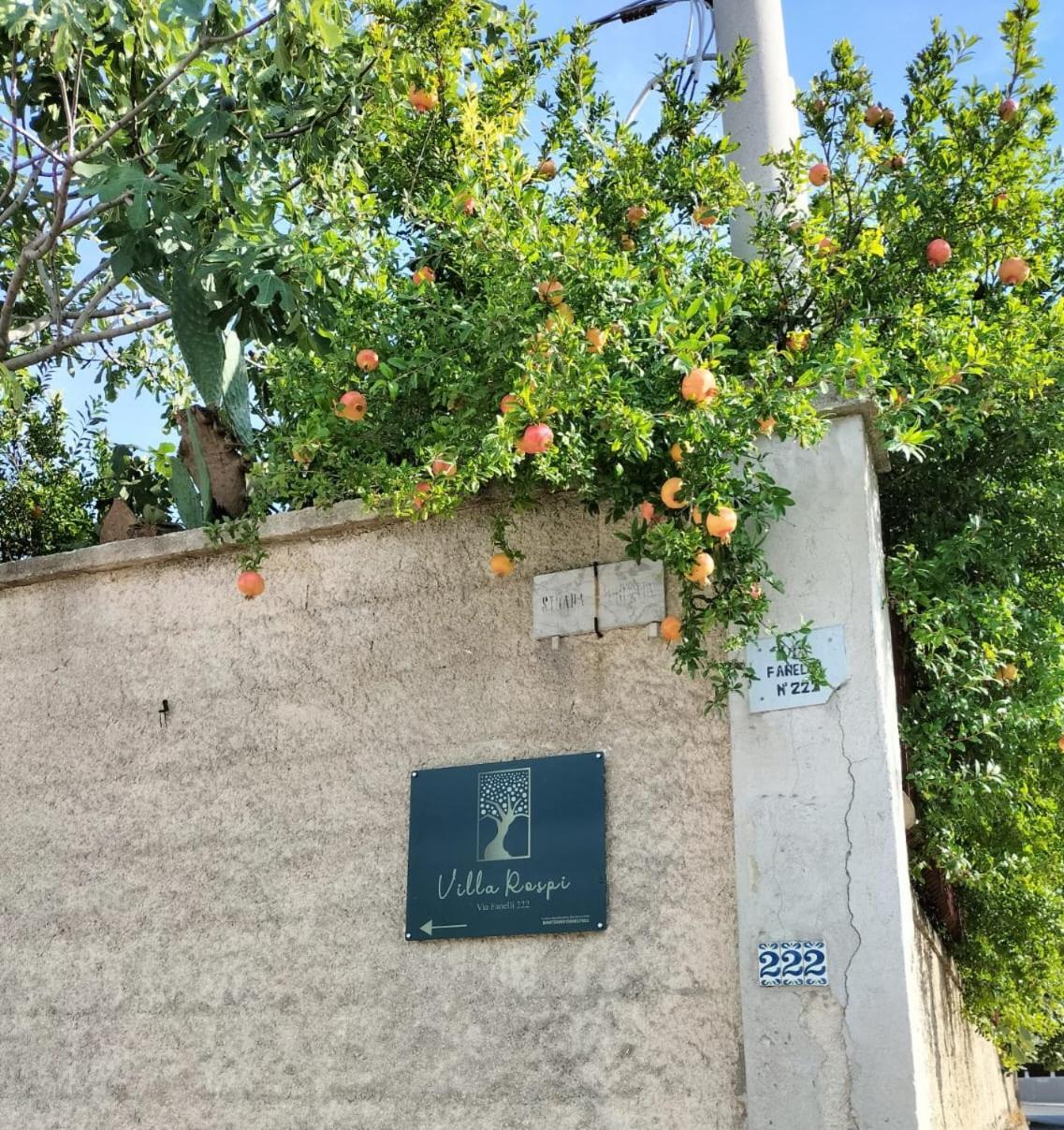 Villa Rospi Bari Ngoại thất bức ảnh